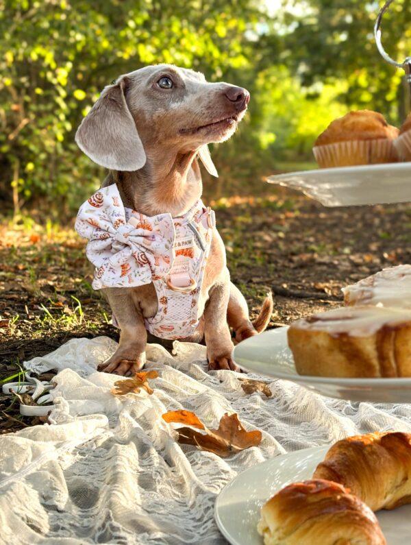 20260921_211659_18D68B Cinnamon and Bloom Harness