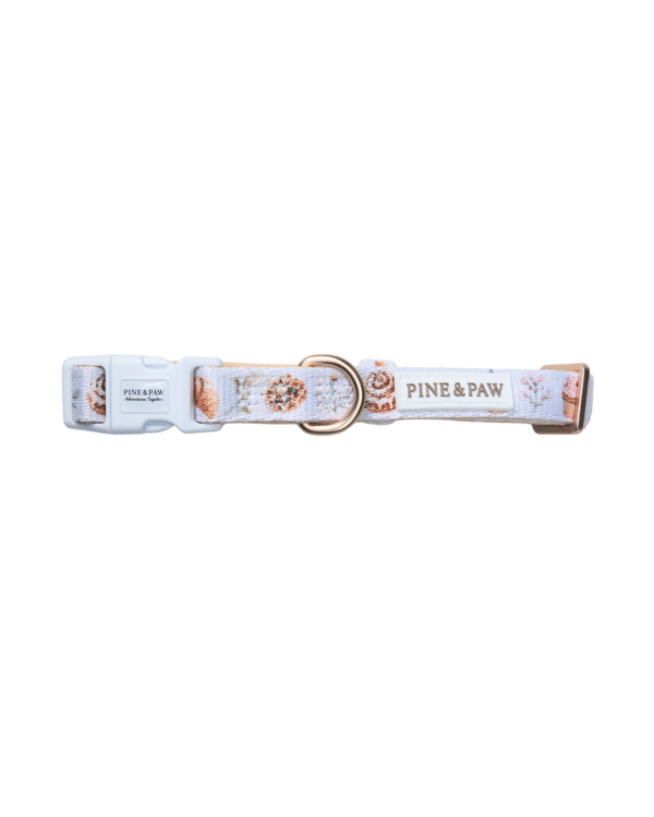 bakerycollar Cinnamon and Bloom Collar