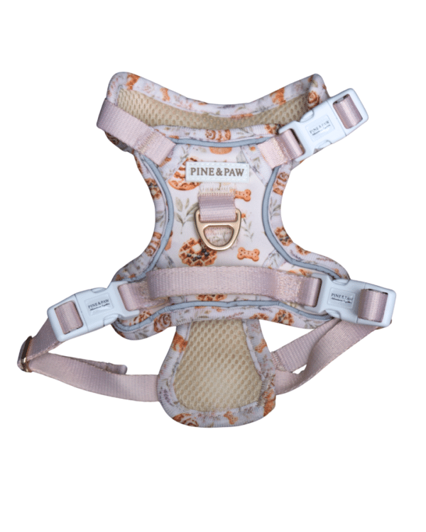 harness back Cinnamon and Bloom Harness