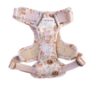 Cinnamon and Bloom Harness