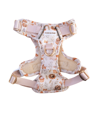 Cinnamon and Bloom Harness